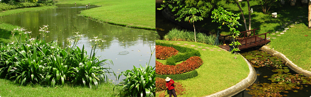 Exterior Design Ideas Image5\