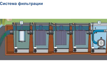 5.jpg 5.jpg